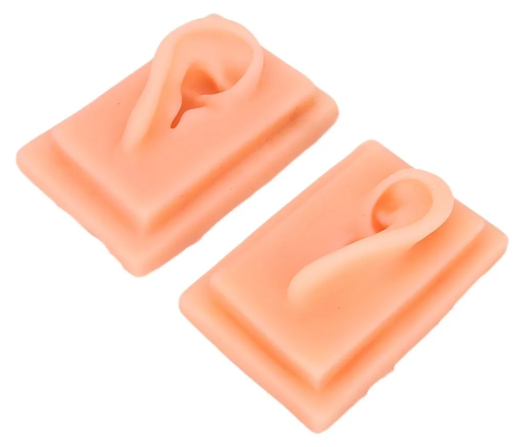 Oreille d'apprentissage en silicone pour exercices d'acupuncture 1:1