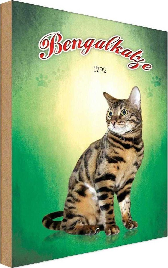 vianmo Holzschild 30x20 cm Katze Bengalkatze 1792 Tier Haustier