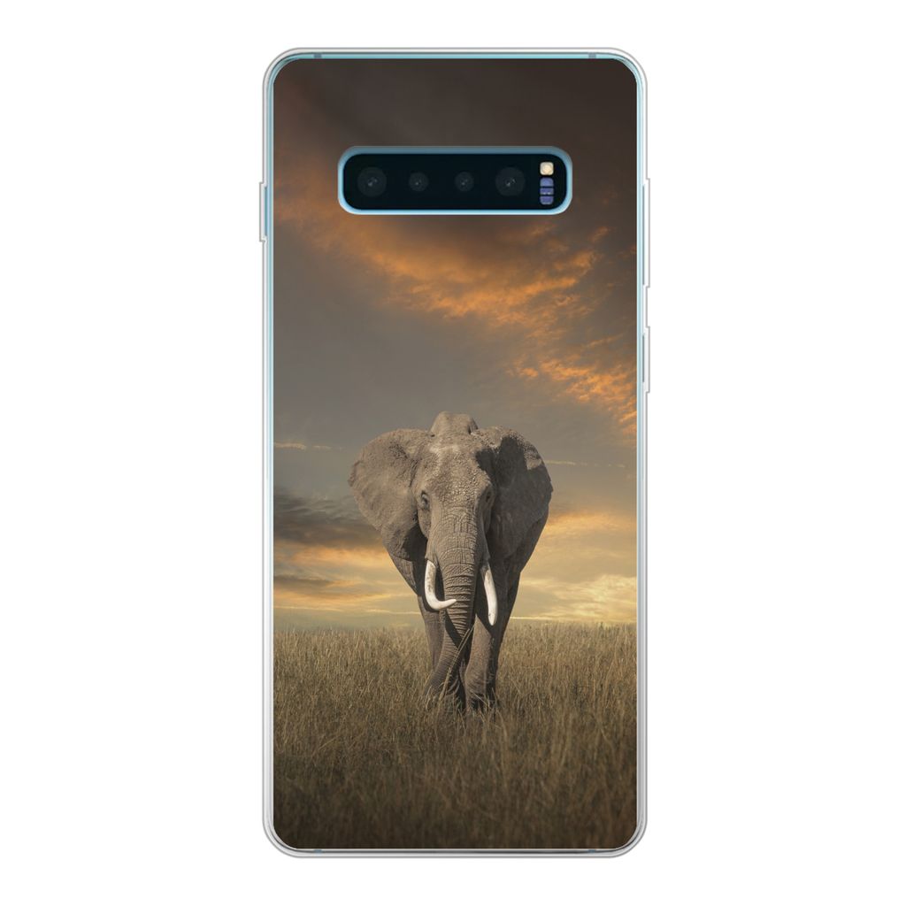 MuchoWow Handyhülle Schutzhülle Hülle für Samsung Galaxy S10 Plus Elefant - Tiere - Gras - Natur Silikon Softcase Handy Hülle - Schutzhülle