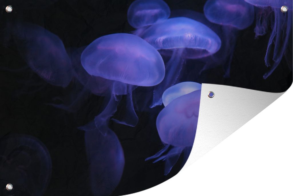 MuchoWow 120x80 cm Outdoor-Poster Gartendeko Sichtschutz Garten Poster für den Garten Qualle - Lila - Hell