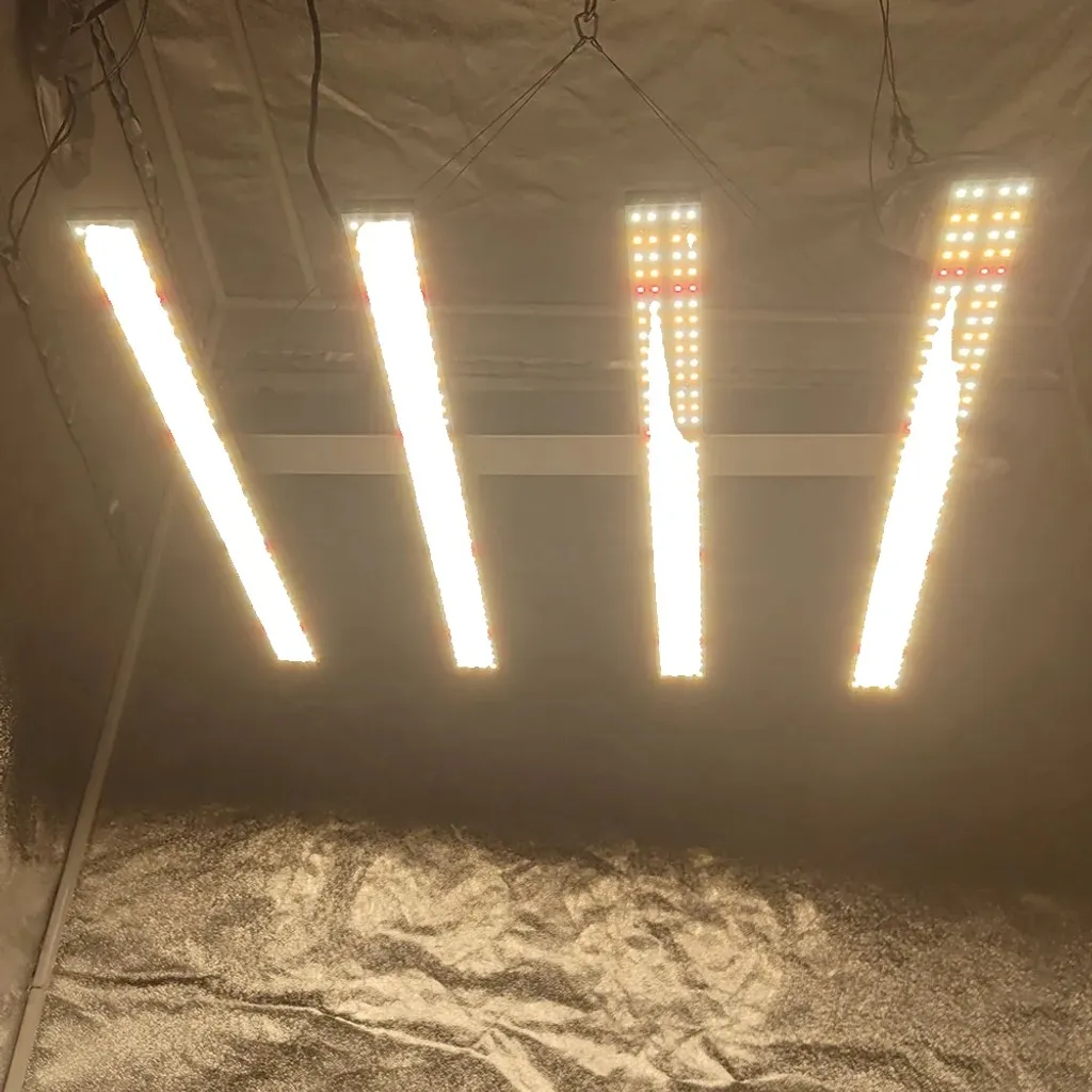 Panneau LED horticole 240W professionnel pour croissance et floraison