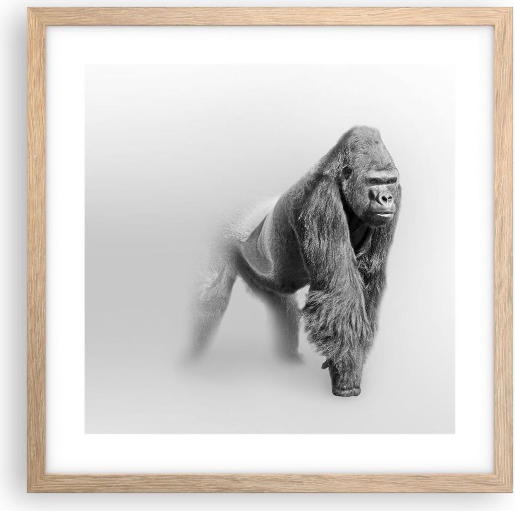 Gerahmtes Poster - Rahmen in heller Eiche - Orang-Utan Tier Produktbild 