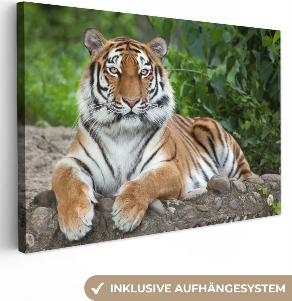 OneMillionCanvasses - Leinwandbilder - 150x100 cm, Tiger - Natur - Steine, Wandbilder Kunstdruck Wanddekoration