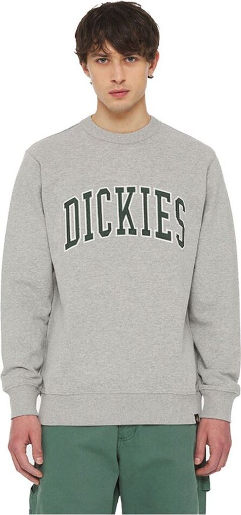 Dickies Aitkin Sweatshirt Grau XL Mann Grau XL