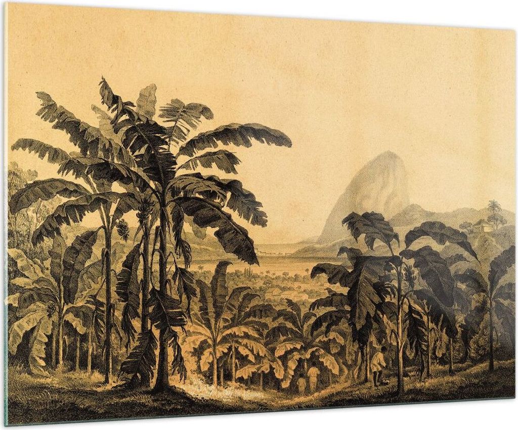 Bilder auf glas - Einteilig - Palmen Wald Regnerisch - 100x70cm - Glasbilder - Wandbilder - Bilder - zum Aufhängen bereit - Wanddekoration aus Gla...