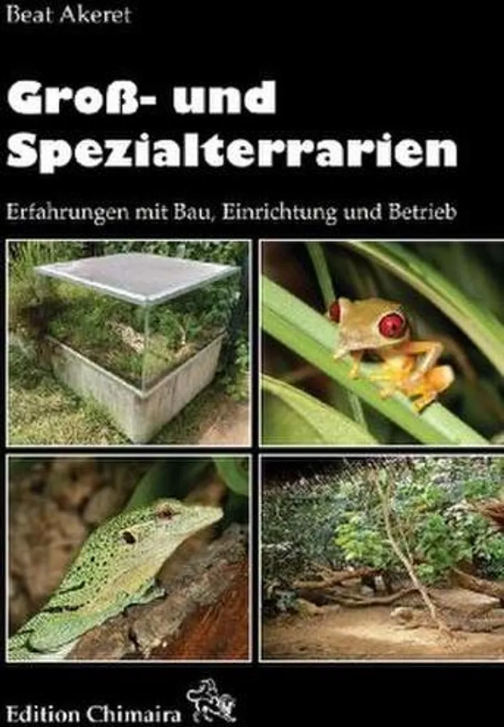 Réussir son Grand Terrarium : Éviter les Erreurs de Construction DIY