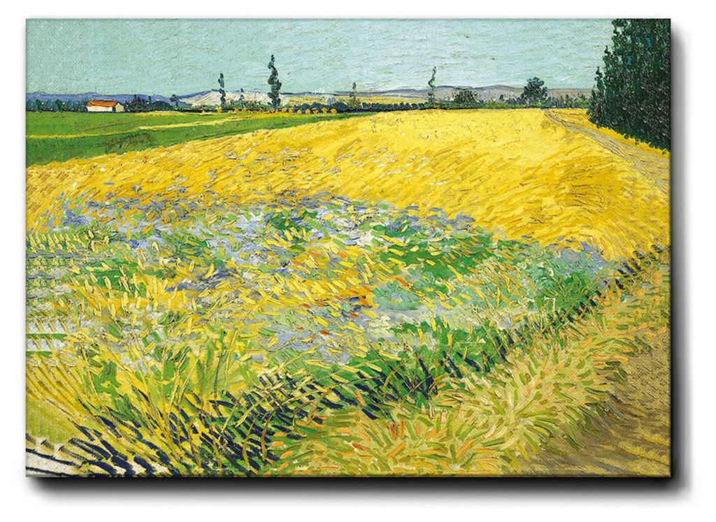 Giallobus - Weizenfeld - Vincent Van Gogh - 50L x 35B cm - Bild - Premium Loom Canvas mit hoher Dicke