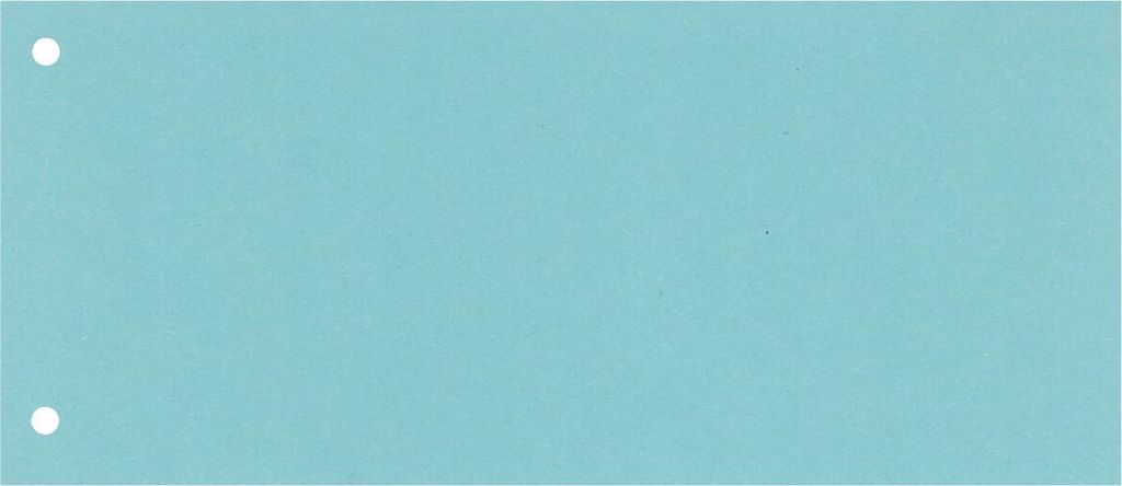 WEKRE 50504160 Trennsteifen, 10,5x24cm, 160g/m², 100 Stück, Karton, blau