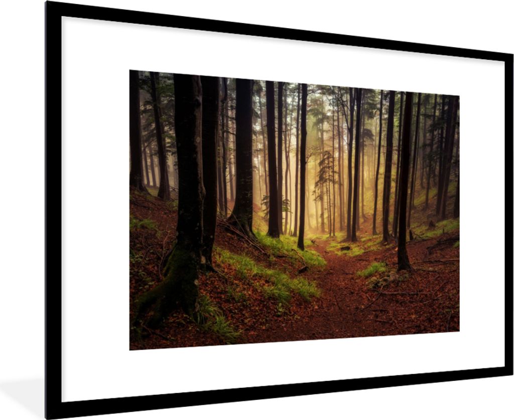 MuchoWow Gerahmtes Poster Bäume - Natur - Wald 90x60 cm - Poster mit Schwarzem Bilderrahmen Wandposter Rahmen Foto Bilder - Wanddekoration - Fotos