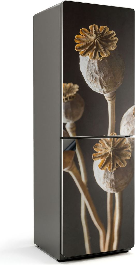 Getrocknete Mohnblumen in einer Vase – Magnetische Kühlschrank Abdeckung – Dekorfolie magnetisch Küche – Kühlschrank Magnet Deko – selbs...