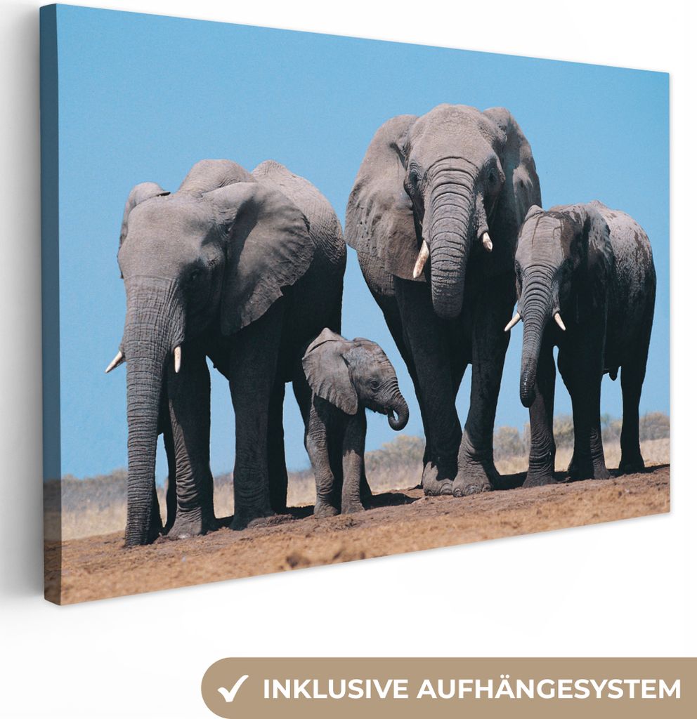 OneMillionCanvasses - Leinwandbilder - 140x90 cm, Elefant - Prärie - Tiere - Natur, Wandbilder Kunstdruck Wanddekoration