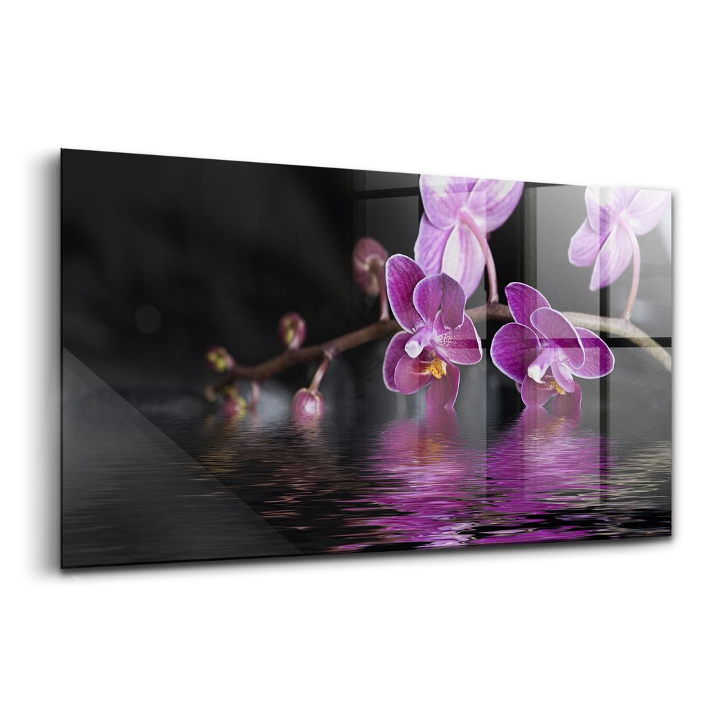 Glasmalerei - dekoratives Bild - moderne Malerei - 100x50 - Rosa Orchidee auf Wasser