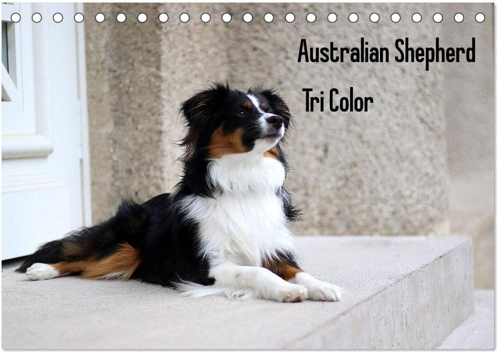 Australian Shepherd Tri Color (Tischkalender 2026 DIN A5 quer), CALVENDO Monatskalender