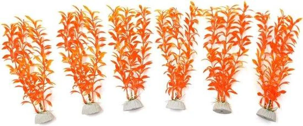 Lot de 6 pots en plastique orange 4,5x2,5x19,5 cm pour herbes aromatiques