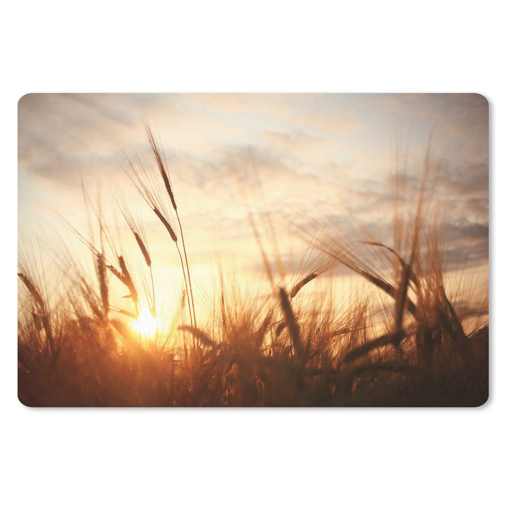 MuchoWow Mauspad Mousepad Schilf - Gras - Sonnenuntergang - Natur - Horizont 27x18 cm - Mousepads - Maus Mat - Pad - Mausunterlage - Büroartikel...