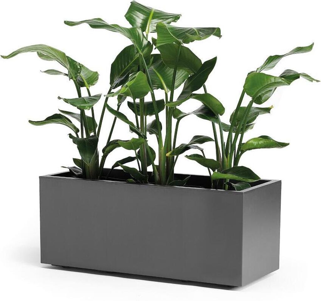 euro3plast 315-462 Pflanzkasten Greener Kebe 100cm, Produktbild 3