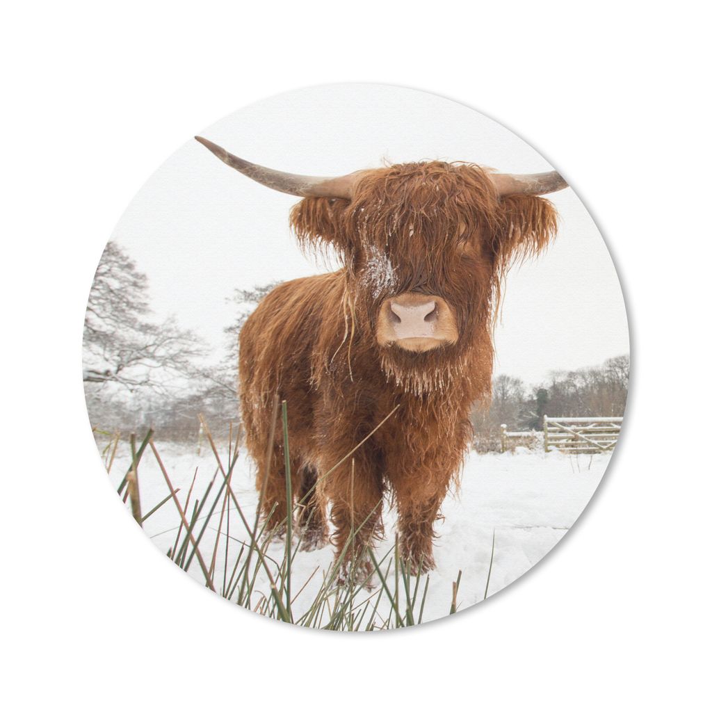 MuchoWow Mauspad Mousepad Schottischer Highlander - Schnee - Winter 50x50 cm - Mousepads - Maus Mat - Pad - Mausunterlage - Vinyl