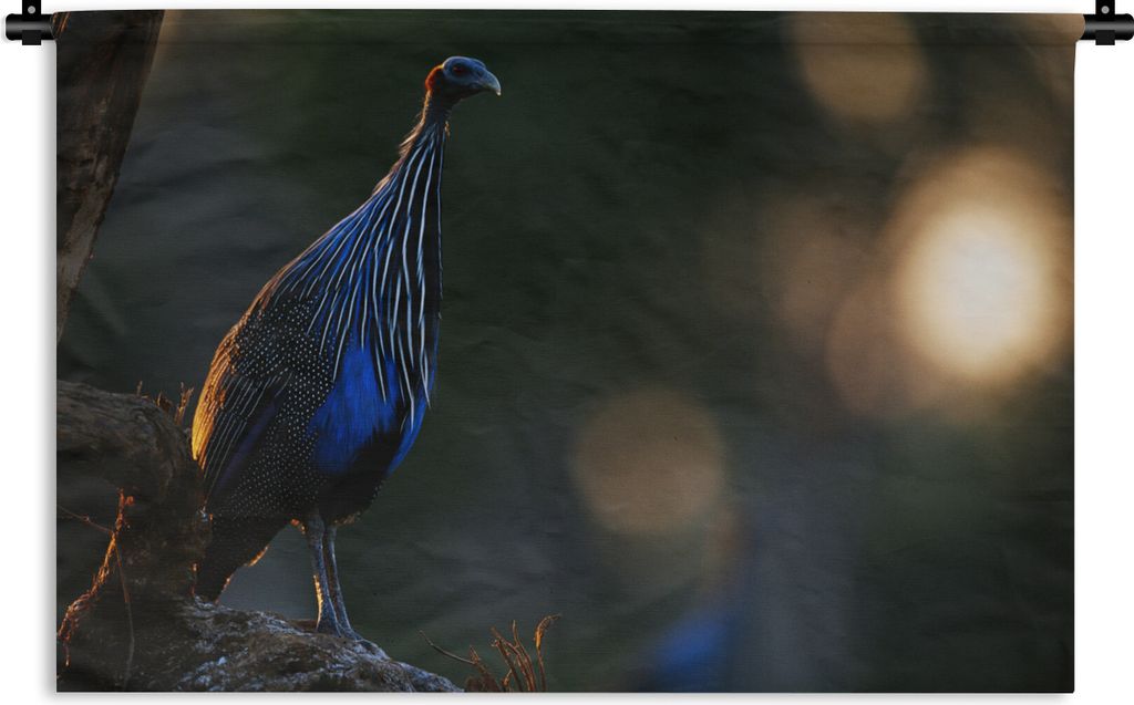 MuchoWow Wandteppich Wandbehang Perlhühner - Vögel - Federn 90x60 cm Tapisserie Dekoration Wandtuch - Wandskulpturen - Bildteppich