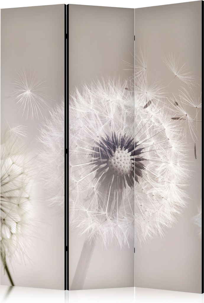 Neuheit! Dekorativer Paravent Raumteiler Trennwand Foto-Paravent Spanische Wand XXL 135x172 cm weiß Blumen Pusteblume Beige b-C-0925-z-b