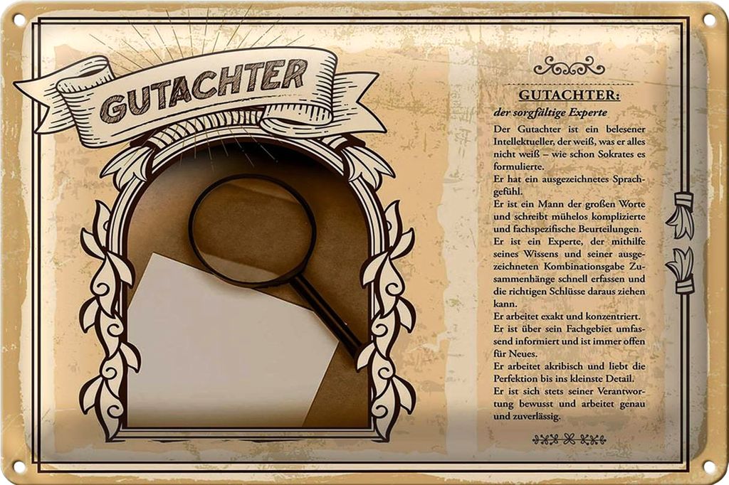 Blechschild Berufe 30x20cm Gutachter sorgfälltiger Experte