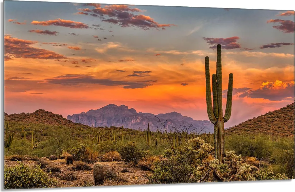 Copri Piano Cottura 80x52cm Cactus | Trasforma la tua Cucina con Stile