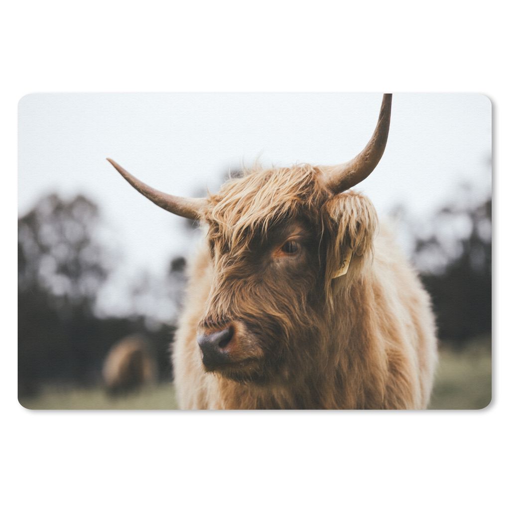 MuchoWow Mauspad Mousepad Schottischer Highlander - Tiere - Hörner 27x18 cm - Mousepads - Maus Mat - Pad - Mausunterlage - Büroartikel - Desk M...