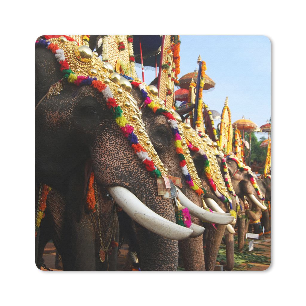 MuchoWow Mauspad Mousepad Elefant - Parade - Tiere 20x20 cm - Mousepads - Maus Mat - Pad - Mausunterlage - Desk Mat - Bureauartikeln