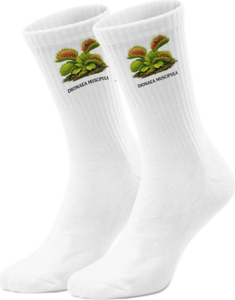 epicsocks Fleischfressende Pflanzen Karnivoren DIONAEA MUSCIPULA Socken in