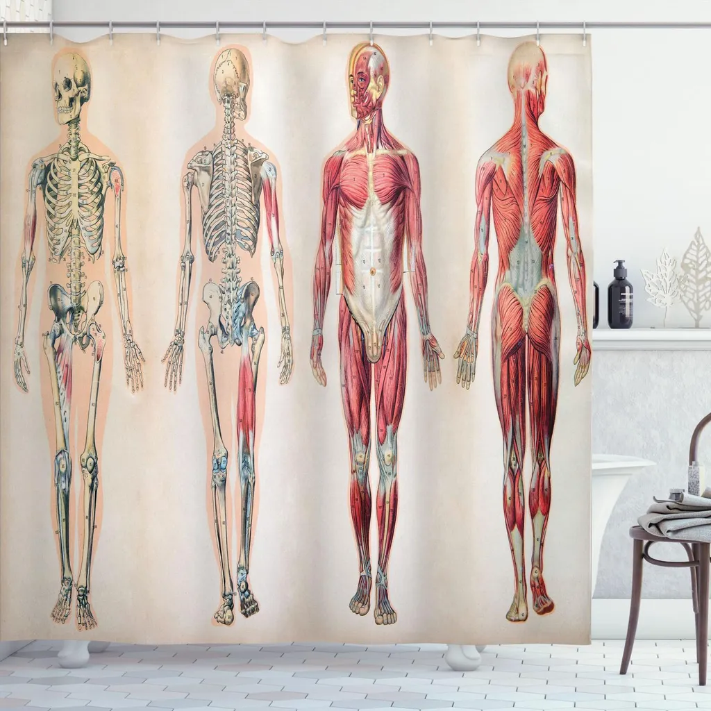 Rideau de Douche Anatomie Humaine pour Grande Baignoire ou Douche XXL