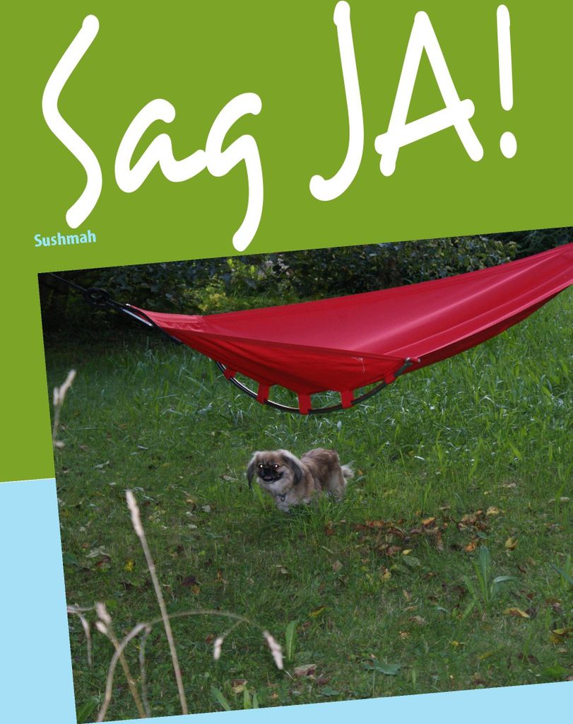 Sag Ja!