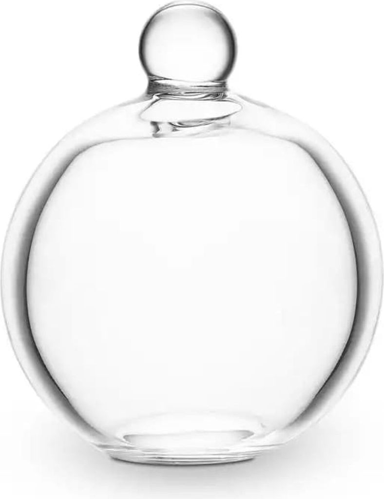 Tappo Per Caraffa Vital Water - 68g Immagine del prodotto 