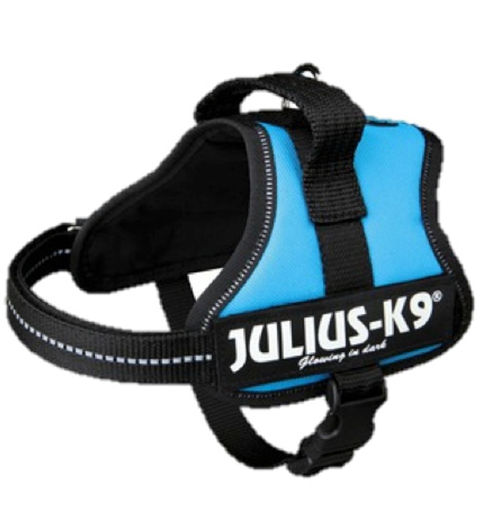 Julius-K9 Powergeschirr Mini-Mini/Mini Hundegeschirr aquamarin S-M, Maße:40-53 cm