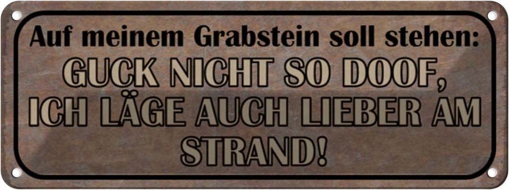 vianmo Blechschild 10x27 cm auf meinem Grabstein soll stehen Spruch Zitat