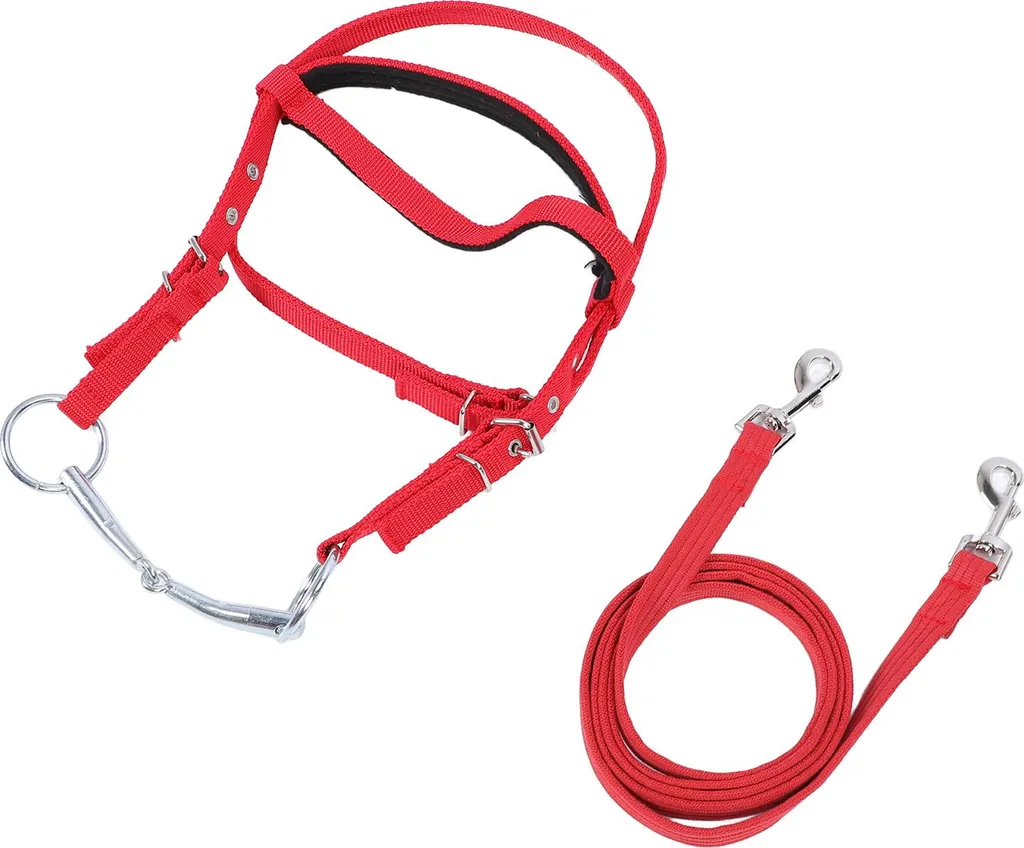 Bridon de Travail pour Cheval 1m30+ Rênes Nylon et Têtière Rouge Sport