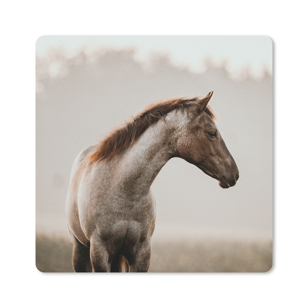 MuchoWow Mauspad Mousepad Pferd - Nebel - Natur 20x20 cm - Mousepads - Maus Mat - Pad - Mausunterlage - Desk Mat - Bureauartikeln