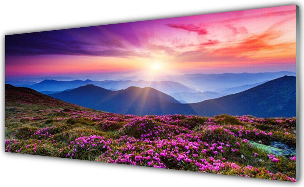 Küchenrückwand aus Glas 125x50cm Spritzschutz Gebirge Wiese Sonne Landschaft