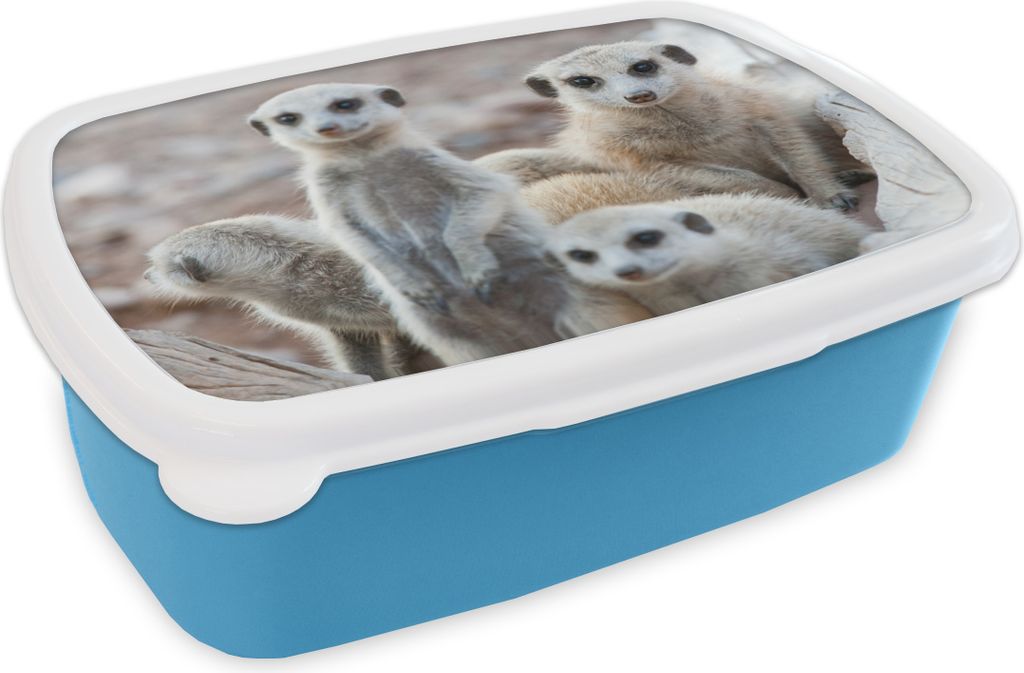 KitchenYeah Lunchbox Brotzeit Brotdose 17x11 cm Neugierige Erdmännchen Kinder Brotzeitdose - Lunch - Kunststoff - Brotbüchse - Sandwichbox - L...