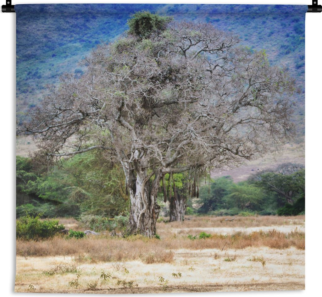 MuchoWow Wandteppich Wandbehang Ein schönes Foto eines Affenbrotbaums im Ngorongoro-Krater 150x150 cm Tapisserie Dekoration Wandtuch - Wohnacces...