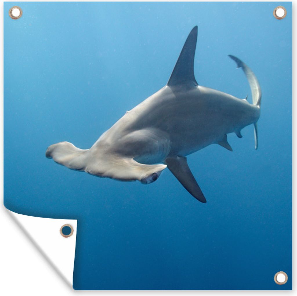 MuchoWow 100x100 cm Outdoor-Poster Gartendeko Sichtschutz Garten Poster für den Garten Hammerkopf