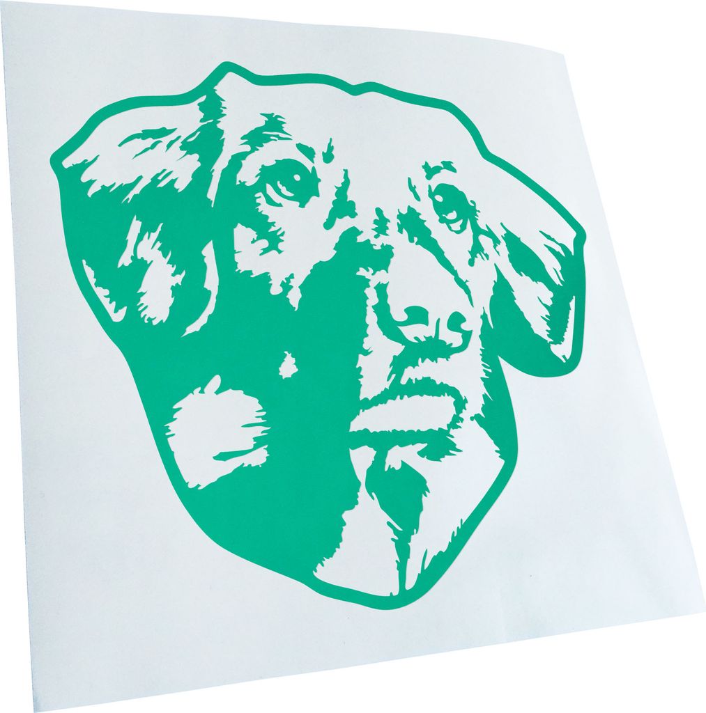 Kiwistar - Autoaufkleber - Nova scotia duck trolling retriever - Türkis - 40x36cm - Aufkleber für Auto, Laptop, Fahrrad, LKW, Motorrad mehrfarbig...