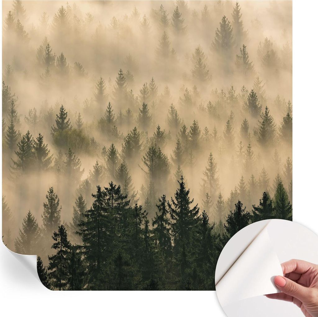 Selbstklebende Wandtapete - Dekorative Tapete für Wohnzimmer - Klebefolie für Wandbilder - Tapetenfolie für Wanddekoration - 250x250 cm - Waldnebel