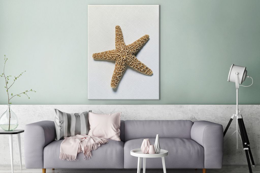 OneMillionCanvasses - Leinwandbilder - 90x120 cm, Seestern - Braun - Weiß, Wandbilder Kunstdruck Wanddekoration - Foto auf Leinwand - Gemälde a...