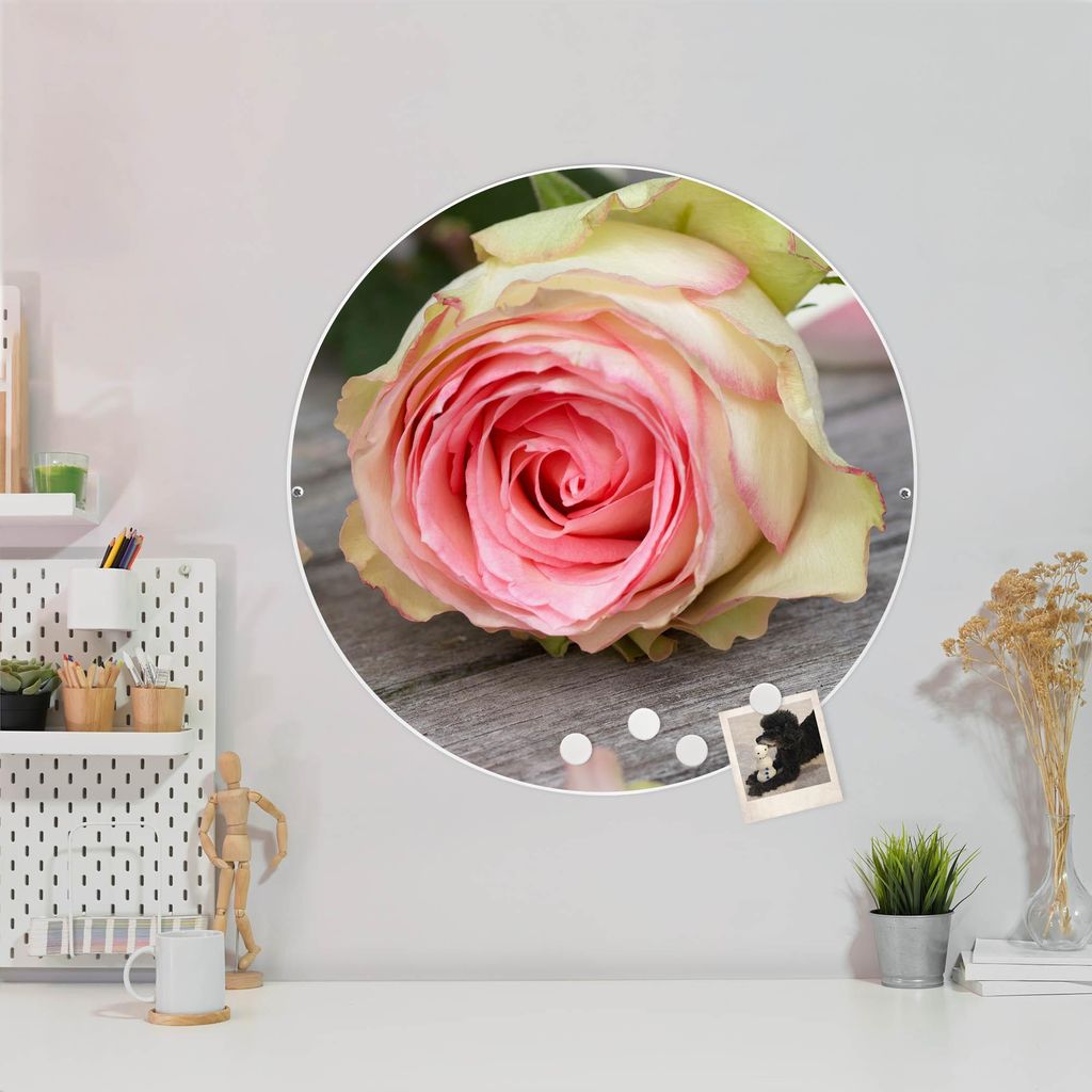 Design Stahlmagnettafel Weiß Rund 47cm Rosa Rose