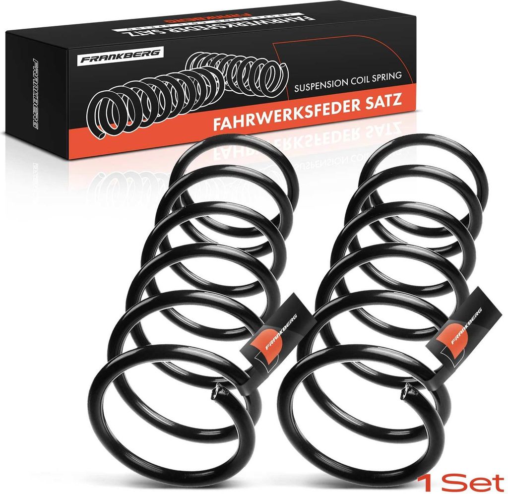 Frankberg 2x Fahrwerksfeder Hinterachse für Fiat Seicento/600 187 0.9L 1.1L 1997-2010
