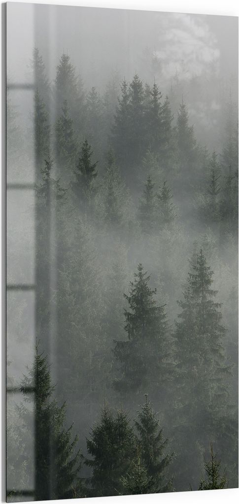 DEQORI Magnettafel Glas 50x100 cm 'Nebelwaldmystik' beschreibbar Whiteboard Pinnwand Küche