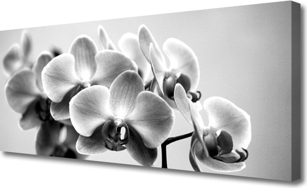 Tulup Leinwand-Bilder 125x50 Wandbild Canvas Kunstdruck Blumen Pflanzen