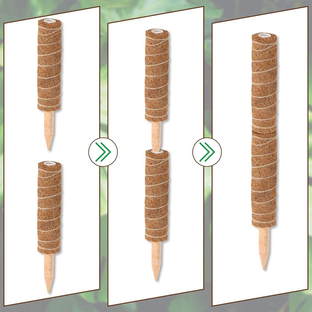 Kokos-Mospaal für Kletterpflanzen - 2 Stück - 30 cm Mosstok für den Innenbereich