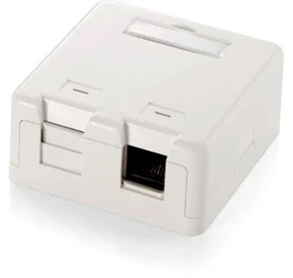 Equip Aufputzdose 2x Keystone Jack mit Abdeckung Premium ws Produktbild 