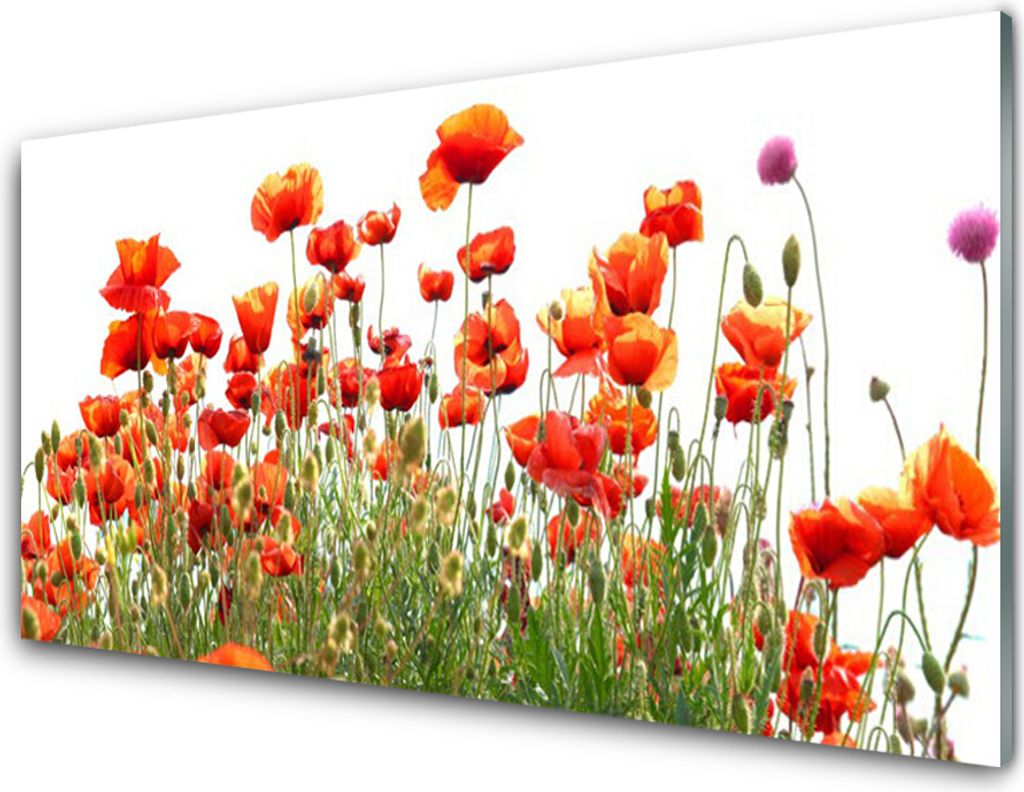 Acrylglasbilder 100x50 Wandbild Druck Mohnblumen Natur