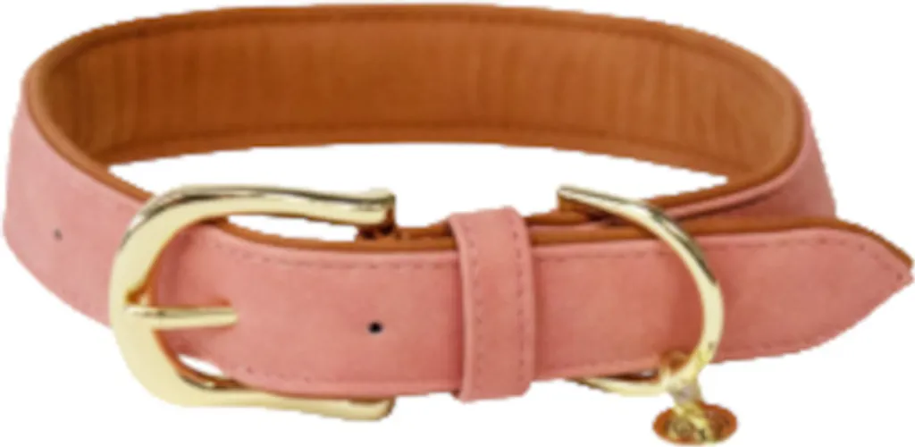 Collare Kentucky Peach M: Mai più Cattivi Odori! Pelle Vegana Top